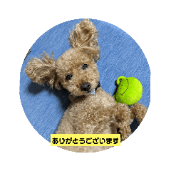 corochan-001