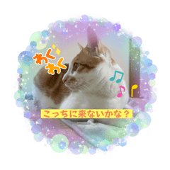 Nozomi_20230212173503