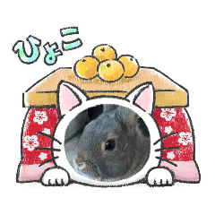 yun_20230213095057