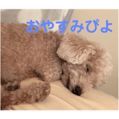 yuto_20230212203509