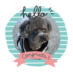 erumama_20230212210555