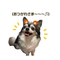 manmaru_20230212235914