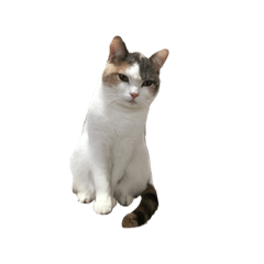 yukari_20230212180848