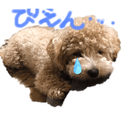 nao_20230213020314