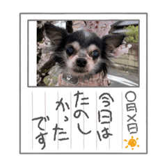 Kondo_20230212163233