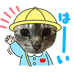 nao_20230212195428