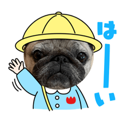 kinaco_20230212223037