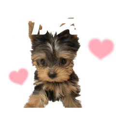 Jack_20230213110304
