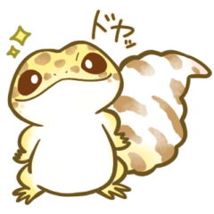 Be covered leopard gecko