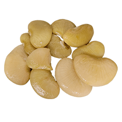 Food Series : Grandpa's Lima Bean #2