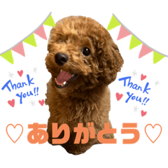 YUKA_20230213141218