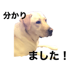 hiyori_20230213140239