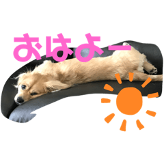 Yukari_20230214083250