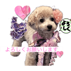 nao_20230213172357