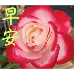 早安午安晚安問候7