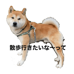 hana_20230213180737