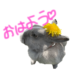 Hinano1005_20230213203555