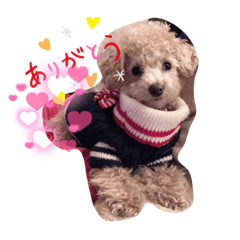 nao_20230213202859