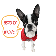 yukari_20230213212654