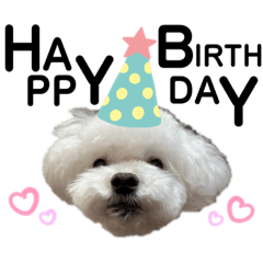 Kaede_20230213220750