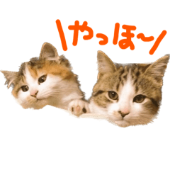 yun_20230213220817