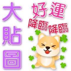 可愛柴犬 實用大貼圖