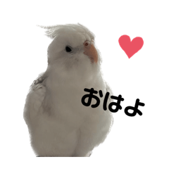 Natechan_20230214053358