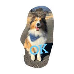 Yukari_20230214102028