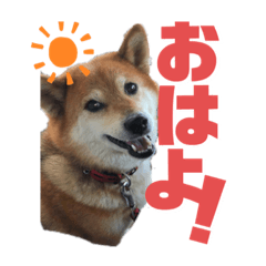 suzu_20230214
