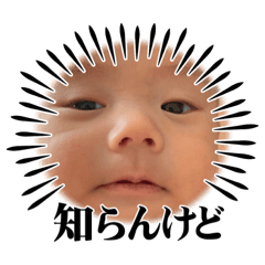 airi_20230214104722