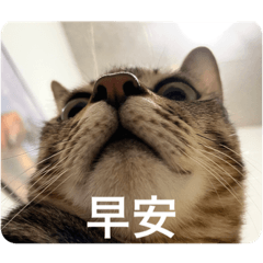 Soba & 咪嚕