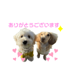yuka_20230213224446