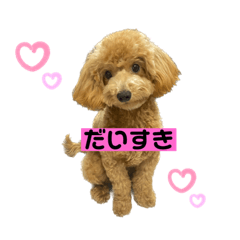 tomomi_20230213230145