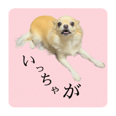nao_20230214135847