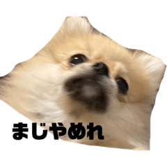 sak_20230214155352