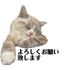 Nozomi_20230215010453