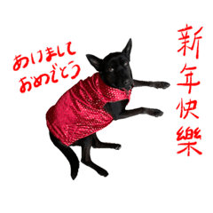 Haoqiu sticker (Chinese/Japanese)