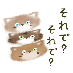 3 cat's kawaii
