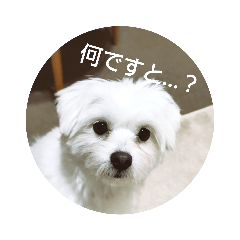 aki_taku