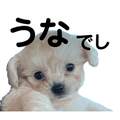 charm_20230214235658