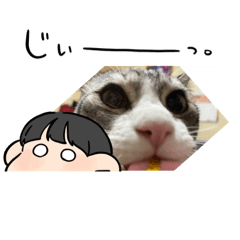 かわいいチーくん