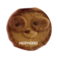 iykyk_sloth_cookie