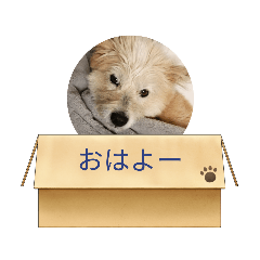 rinrin_20230215122518