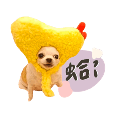妳一直都在～乖乖