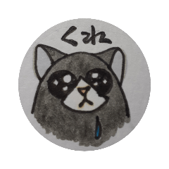 Bicolor  cat  maku