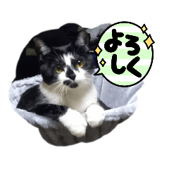 yuka_20230215094227