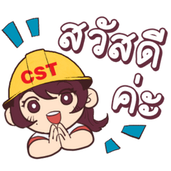 CST Saleswoman Survey