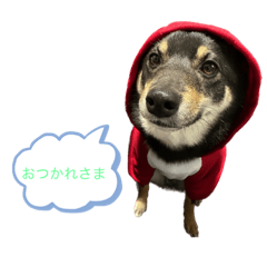 YUTO_20230215113408