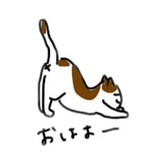 Airi_20230214211547