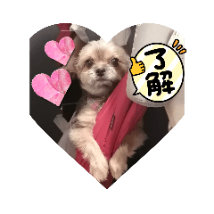 ASAKO_20230215162130